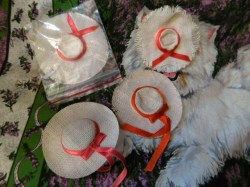 skipper straw hat